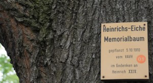 Memorialbaum, Heinrichseiche in Reichenfels - Hohenleuben